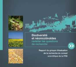 Biodiversité et néonicotinoïdes : revisiter les questions de recherche