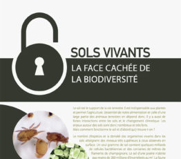 Sols vivants – La face cachée de la biodiversité
