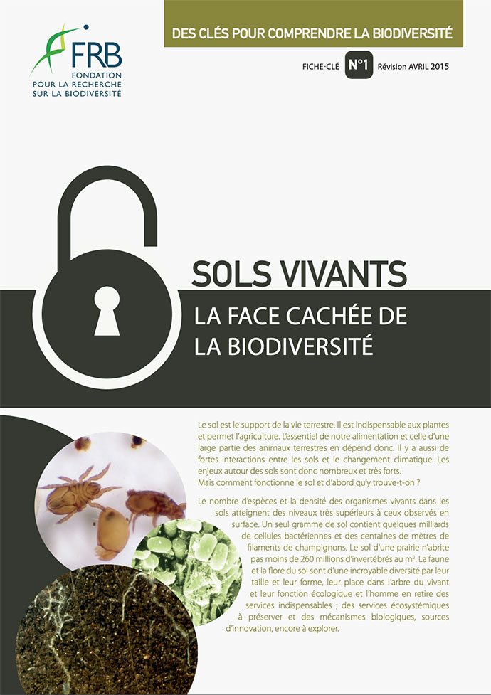 Sols vivants – La face cachée de la biodiversité