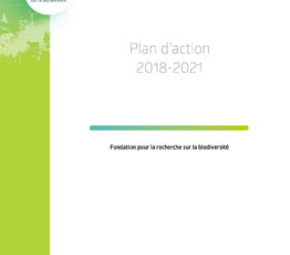 Plan d’action 2018-2021