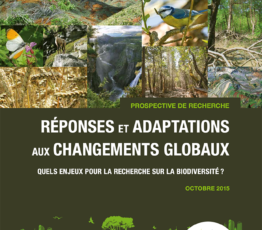 Réponses et adaptations aux changements globaux