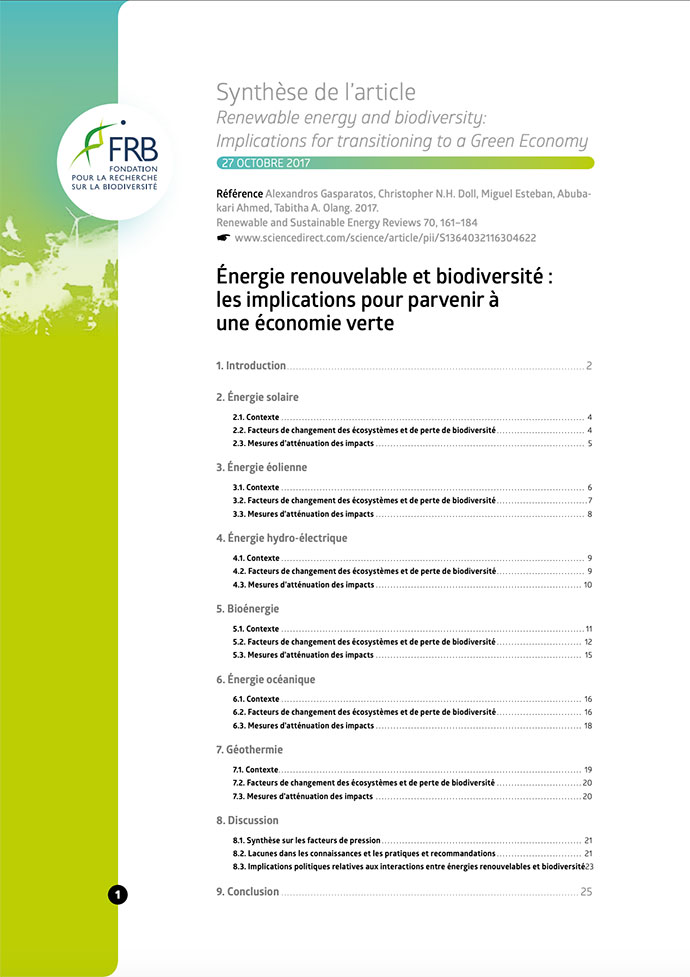 Énergie renouvelable et biodiversité : les implications pour parvenir à une économie verte