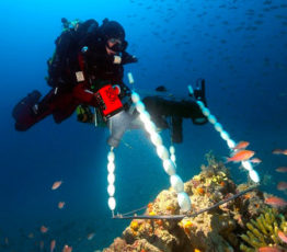Mieux connaître la biodiversité européenne pour mieux la protéger : l’exemple des récifs coralligènes méditerranéens