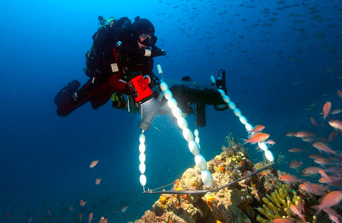 Mieux connaître la biodiversité européenne pour mieux la protéger : l’exemple des récifs coralligènes méditerranéens