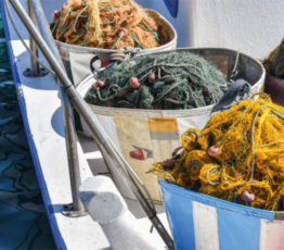 L’exploitation des ressources halieutiques : pressions sur les écosystèmes marins, état des pêcheries, impacts sur la biodiversité et aménagement de ses usages