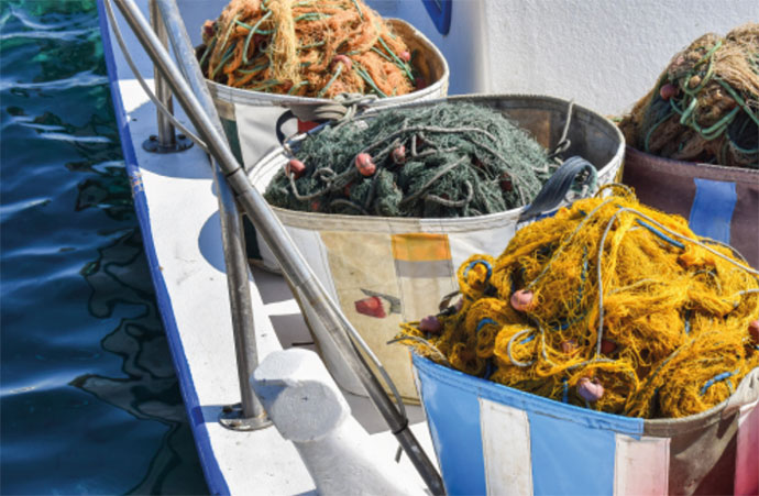 L’exploitation des ressources halieutiques : pressions sur les écosystèmes marins, état des pêcheries, impacts sur la biodiversité et aménagement de ses usages