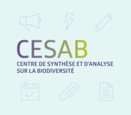 Joint Call CESAB- sDiv SYNERGY: Coexistence and stability in high-diversity communities