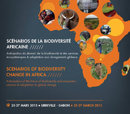 Scénarios de la biodiversité africaine – Anticipation du devenir de la biodiversité et des services écosystémiques et adaptation aux changement globaux