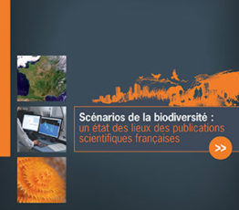 Scénarios de la biodiversité : Un état des lieux des publications scientifiques françaises