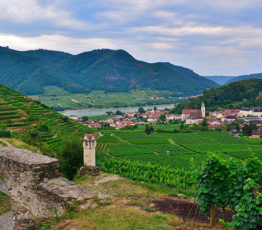 Club 1 – Conservation de la biodiversité dans les territoires : comment appréhender les dynamiques ?