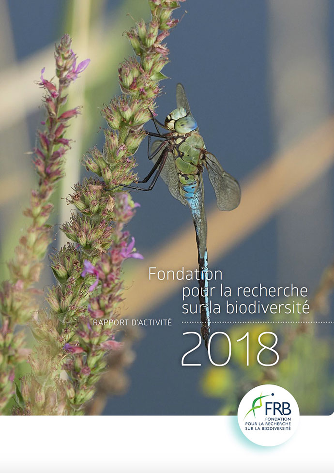 Rapport d’activité 2018