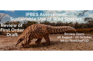 Ipbes-Relectures-Especes-sauvages