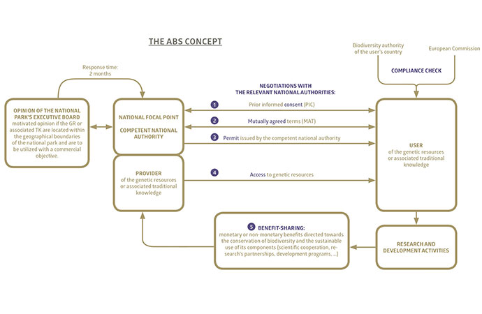 ABS-Concept