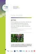 Actias | Patrons globaux de diversité, distribution et singularité évolutive chez les insectes