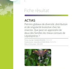 Actias | Patrons globaux de diversité, distribution et singularité évolutive chez les insectes