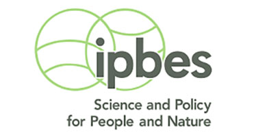 [Ipbes] Participez à la préparation des évaluations Ipbes « nexus » et « changements transformateurs »