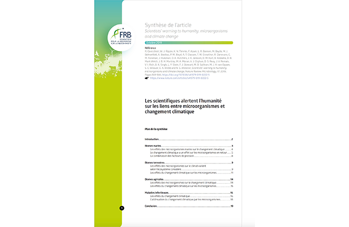 Les scientifiques alertent l’humanité sur les liens entre microorganismes et changement climatique