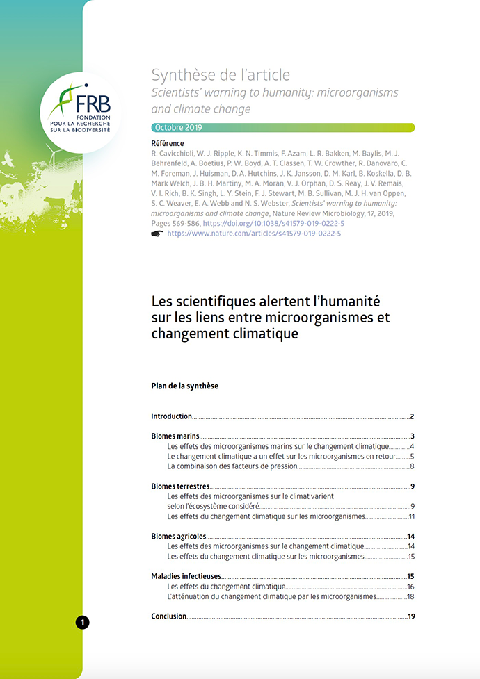 Les scientifiques alertent l’humanité sur les liens entre microorganismes et changement climatique