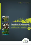 Les valeurs de la biodiversité #2 – un regard sur les approches et le positionnement des acteurs