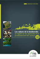 Les valeurs de la biodiversité #2 – un regard sur les approches et le positionnement des acteurs