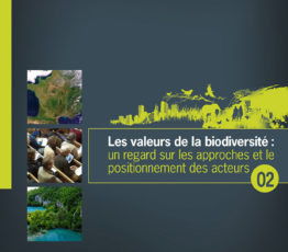 Les valeurs de la biodiversité #2 – un regard sur les approches et le positionnement des acteurs