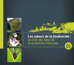 Les valeurs de la biodiversité #1 – un état des lieux de la recherche française