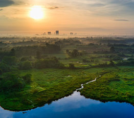 [Joint call SYNERGY FRB-CESAB / CIEE] Biodiversity in a time of global change