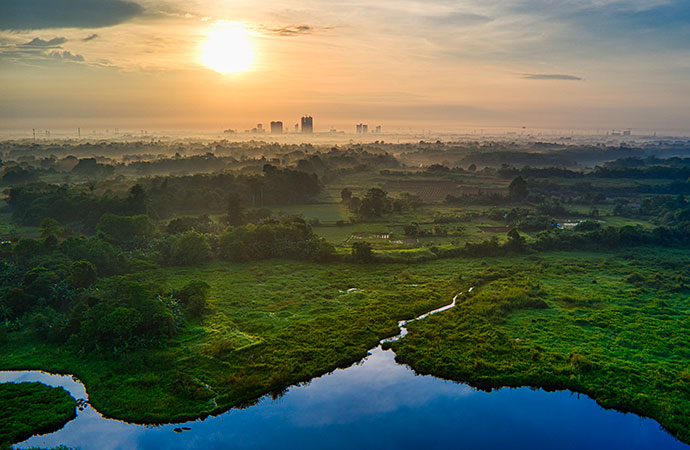 [Joint call SYNERGY FRB-CESAB / CIEE] Biodiversity in a time of global change