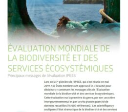 Évaluation mondiale de la biodiversité et des services écosystémiques – Les principaux messages de l’évaluation Ipbes