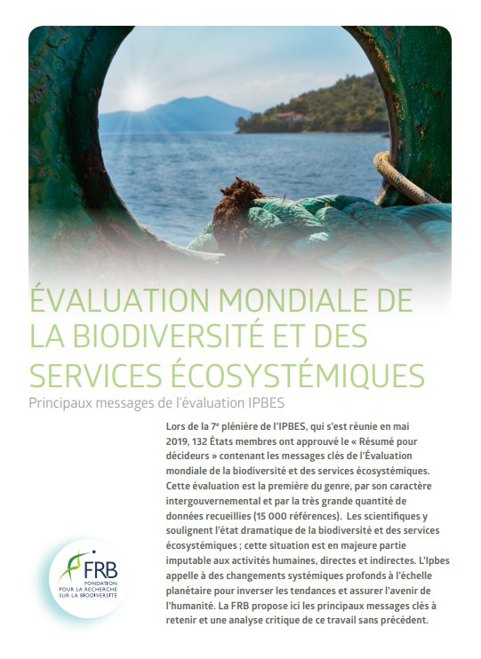 Évaluation mondiale de la biodiversité et des services écosystémiques – Les principaux messages de l’évaluation Ipbes