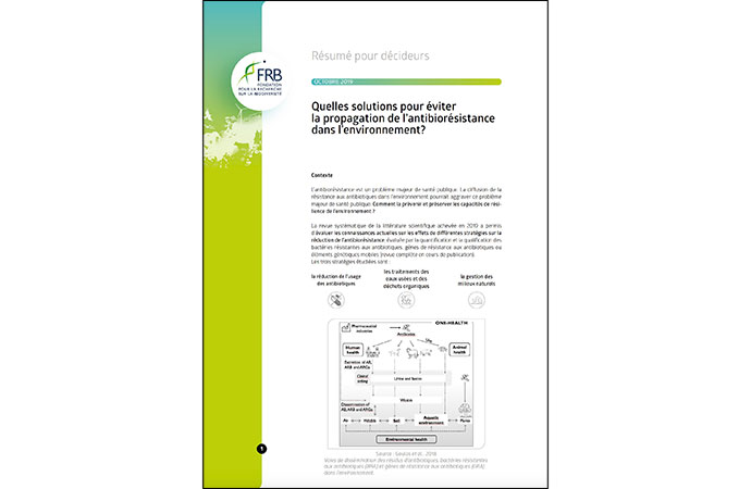 [Résumé pour décideurs] Quelles solutions pour éviter la propagation de l’antibiorésistance dans l’environnement ?