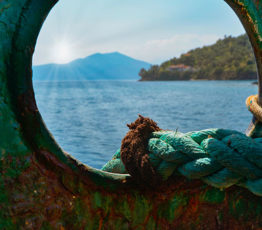 [Ipbes 7] Messages-clés de l’évaluation mondiale de la biodiversité et des services écosystémiques