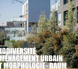 Comment concilier densification du bâti et biodiversité ?