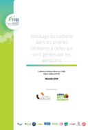 Stockage du carbone dans les prairies similaires à celles qui sont gérées par les aéroports