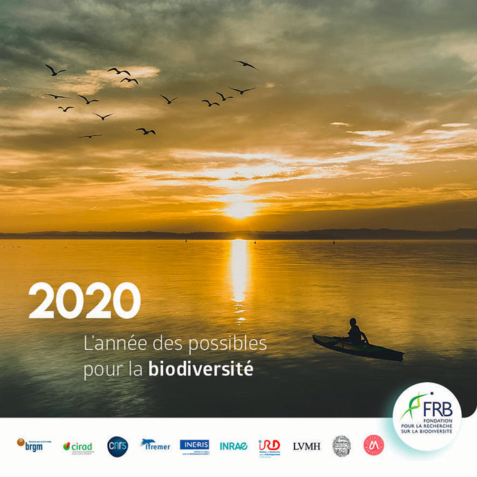 2020, l’année des possibles pour la biodiversité…