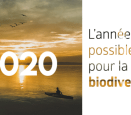 2020, l’année des possibles pour la biodiversité…
