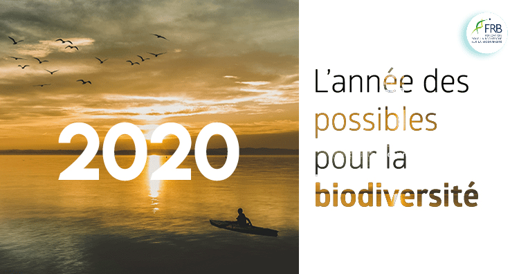 2020, l’année des possibles pour la biodiversité…