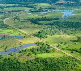 [Publication] Le conseil scientifique de la FRB appelle à sauver de toute urgence les forêts tropicales