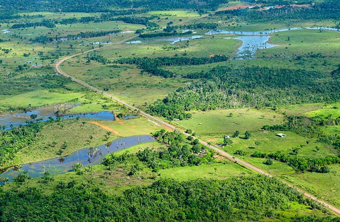 [Publication] Le conseil scientifique de la FRB appelle à sauver de toute urgence les forêts tropicales