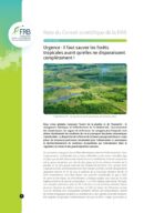 Urgence : il faut sauver les forêts tropicales avant qu’elles ne disparaissent complètement !