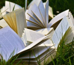 Le CS vous recommande