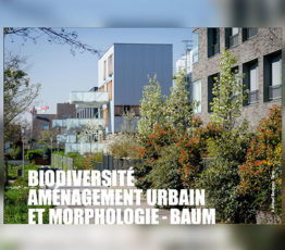 [Appel à projets – Puca] Biodiversité, Aménagement Urbain et Morphologie – BAUM