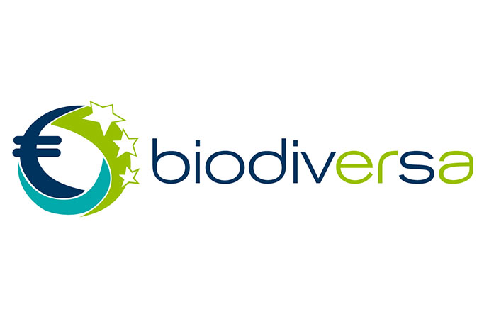 [BiodivERsA] Biodiversité et santé : découvrez les 10 derniers projets de recherche financés par BiodivERsA