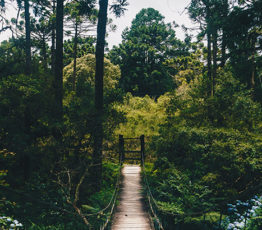 La science pour un monde durable