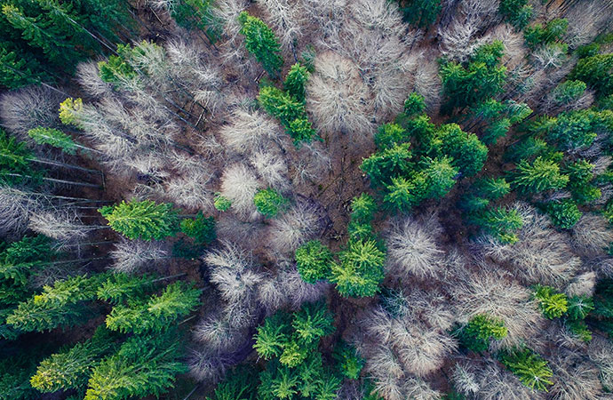 [Appel à projets – Biodiversa] Biodiversité et son influence sur la santé animale, humaine et végétale