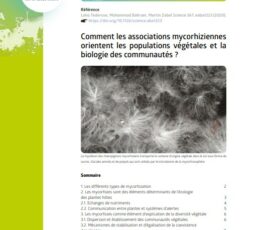 Comment les associations mycorhiziennes orientent les populations végétales et la biologie des communautés ?