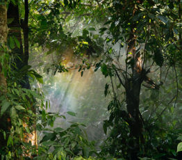 [#ScienceDurable] En avril, la campagne s’intéresse au climat et à la biodiversité