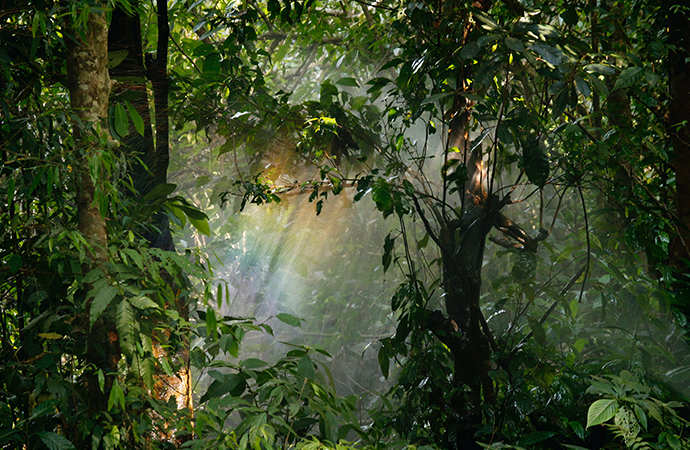 [#ScienceDurable] En avril, la campagne s’intéresse au climat et à la biodiversité