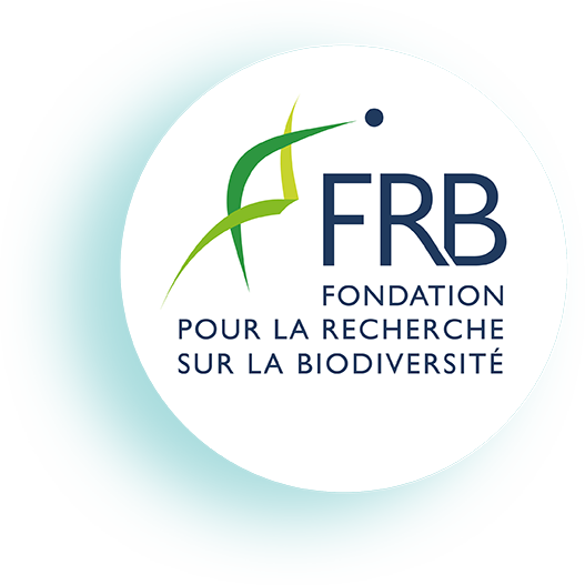 [À vos agendas] Le 29 mai prochain, la Journée FRB vous emmène en mer !