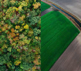 #ScienceDurable – S’inspirer de la nature pour prévenir les pandémies